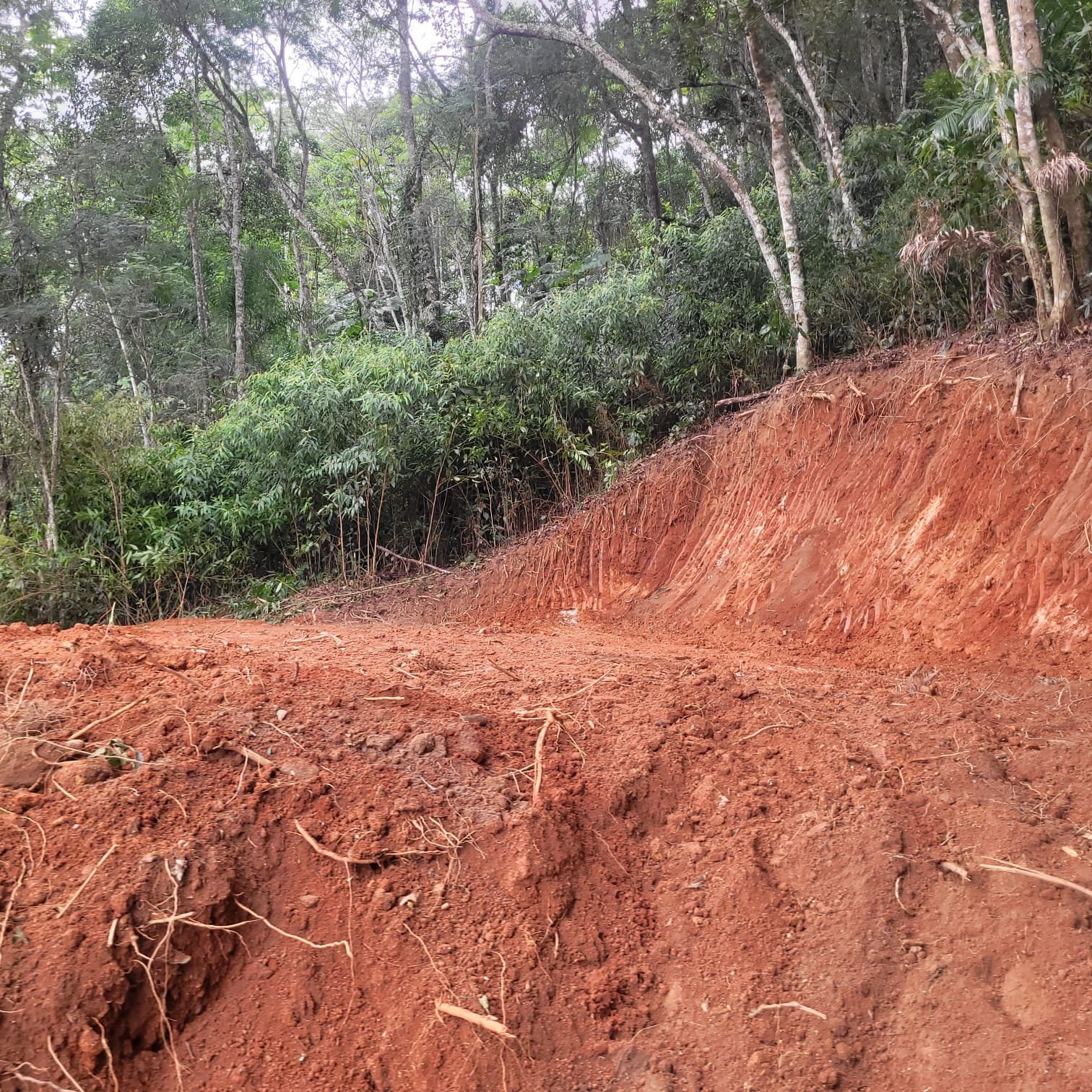 Terreno em preparação junto à vegetação
